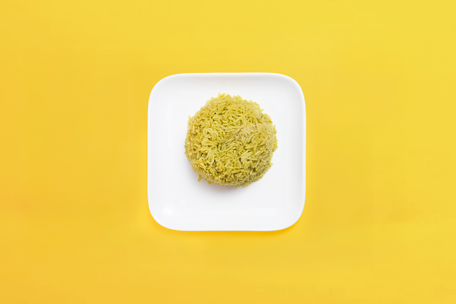 رز مطبق